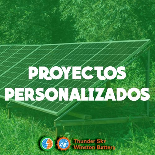 PROYECTOS PERSONALIZADOS